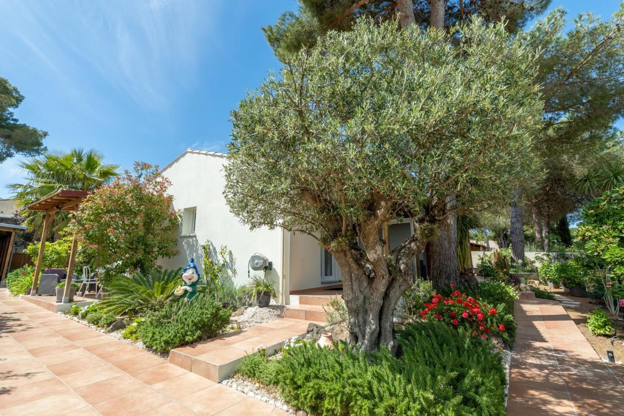 La Villa De L'Olivier アグド エクステリア 写真